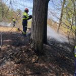 Požar na grajski gozdni cesti 16.4 (3)